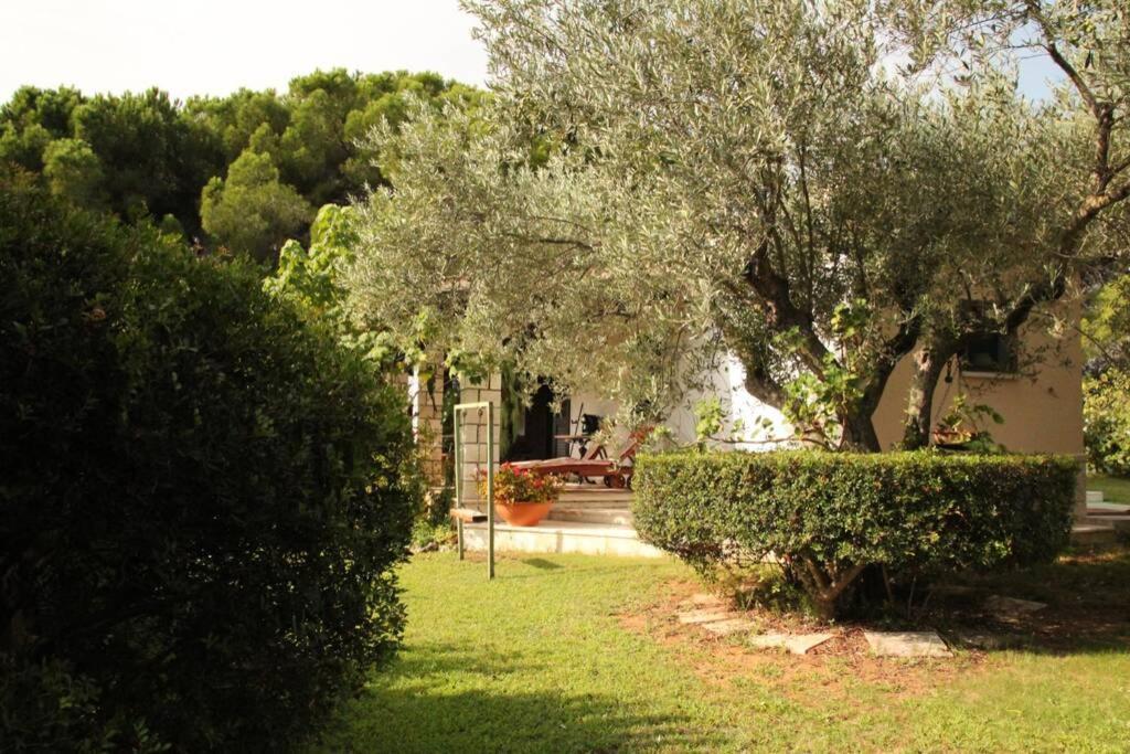 Villa Di Campagna Vicino Al Mare Orosei Kültér fotó